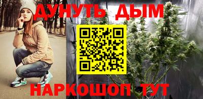 МДПВ Партизанск